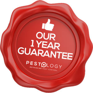 Rodent Control Guarantee for Rats and Mice