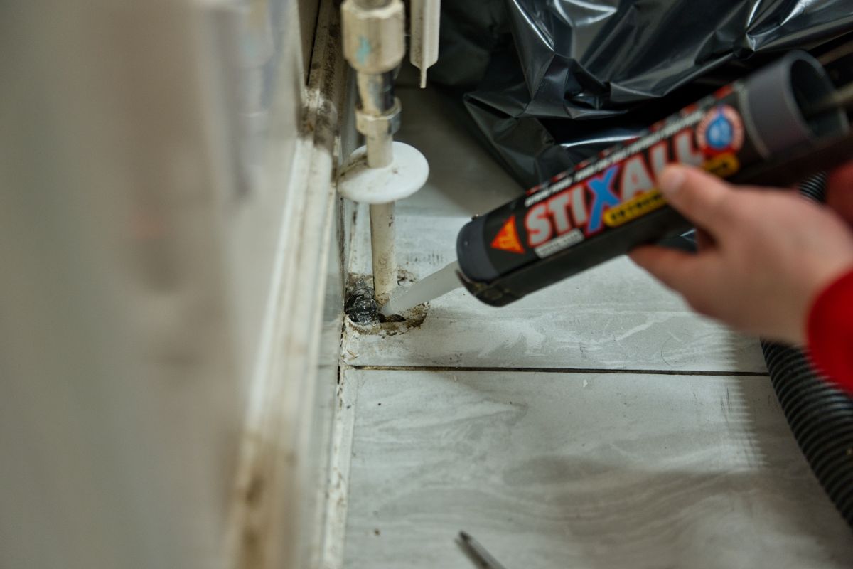 Rat Bait Pest Control