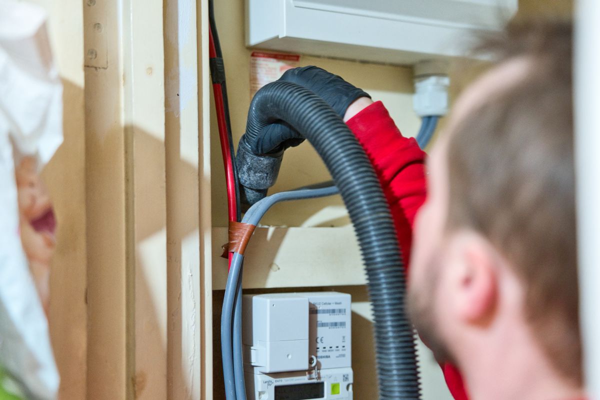 Trapping rodents and pest control