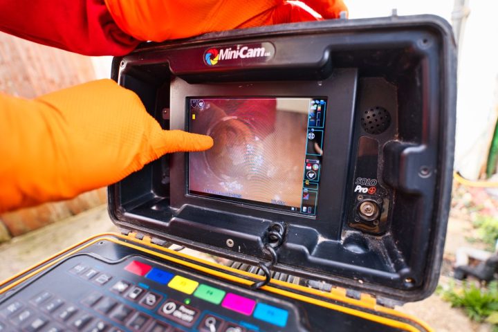 Do rats burrow under foundations