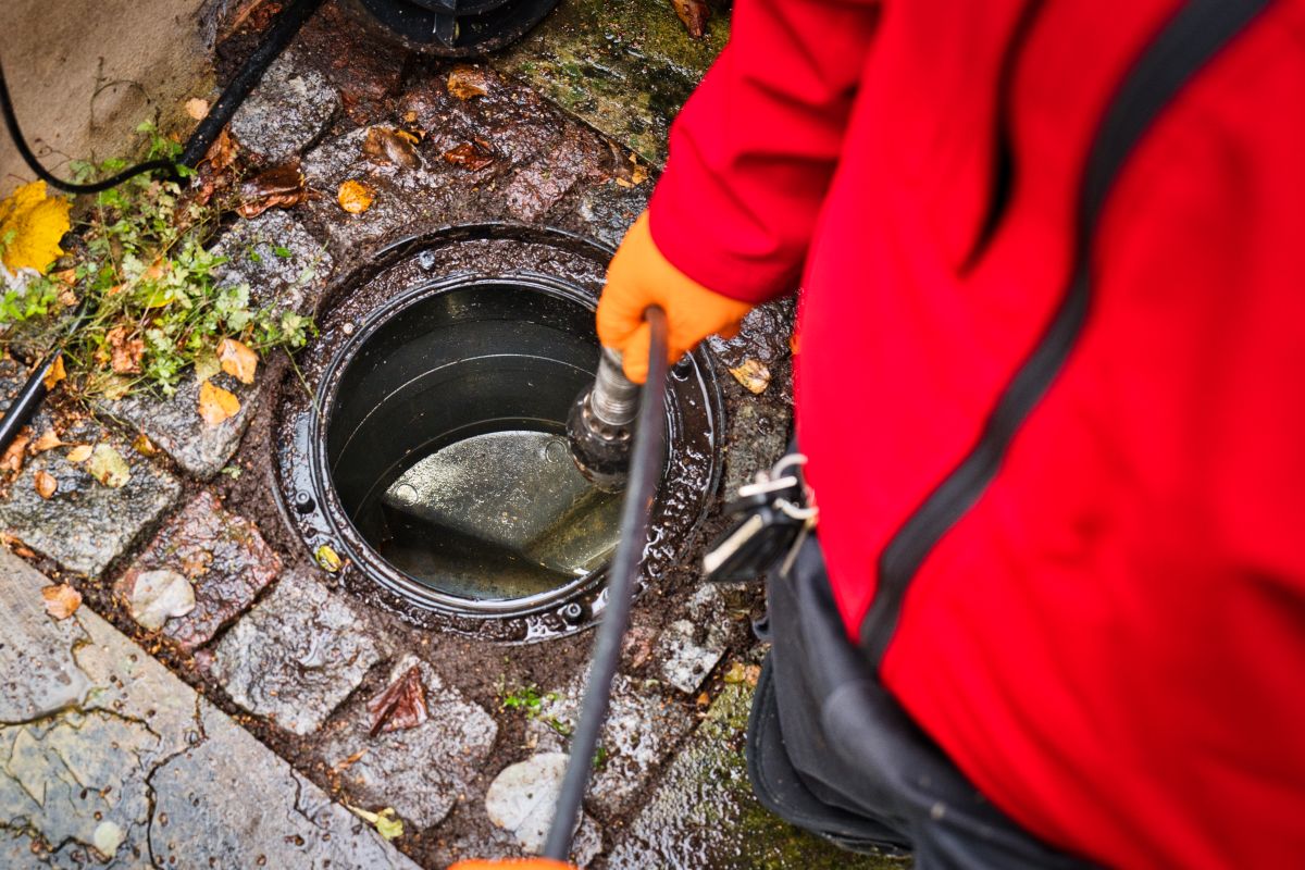 Rat control drain problems