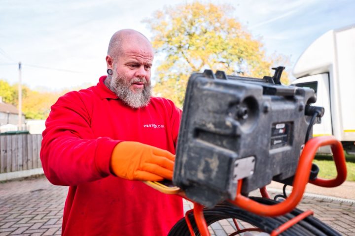 Rats and mice rodent control experts