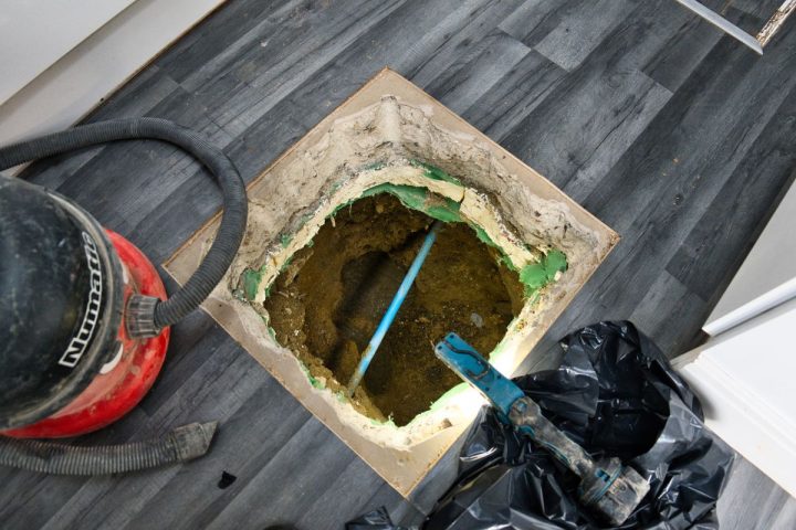 Rat control in the drains