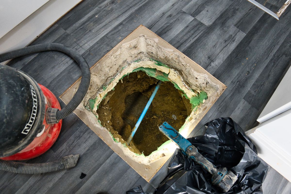 Rat control in the drains