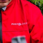 Rats under decking - pest control