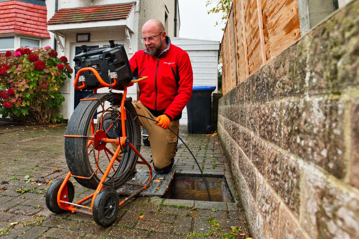 Rat Control Services in London and the South East of England