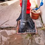 How rats get into houses