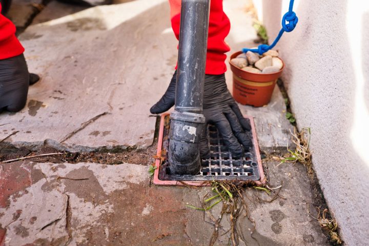 How rats get into houses
