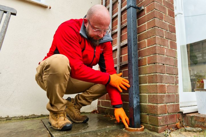 How to get rid of rats