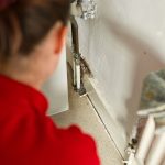 Mouse Control and the Commensal Rodent