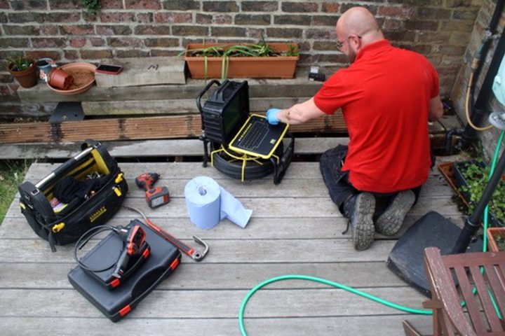 Rat control get rid of rats