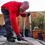 Rat Control Service Process