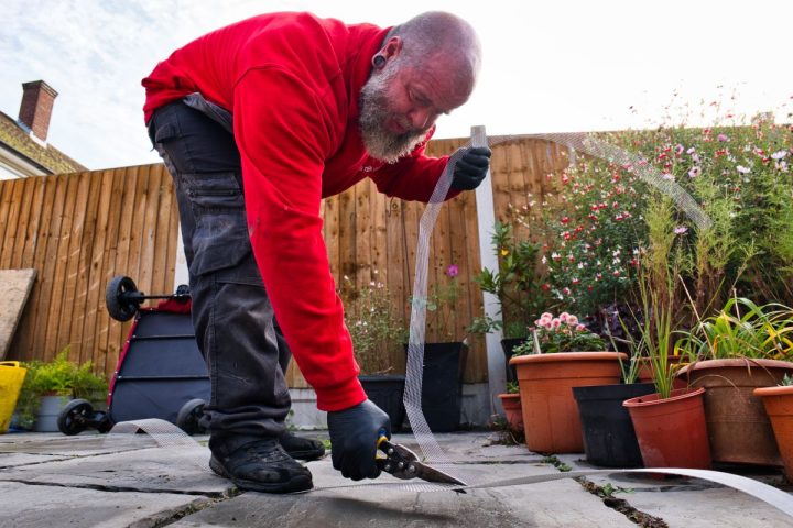 Rat Control Service Process