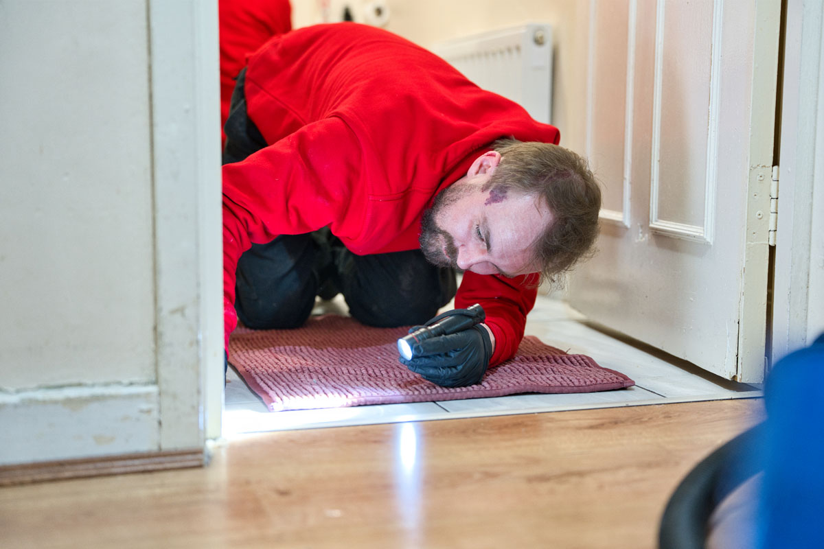 Rat Poison is not the answer