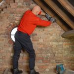 Rats in Loft Rat Proofing